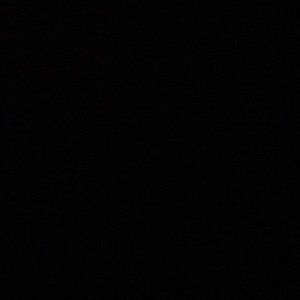 Meet your Posher, Kenny